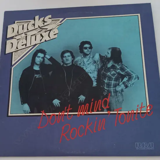 Ducks Deluxe, Don't Mind Rockin' Tonite